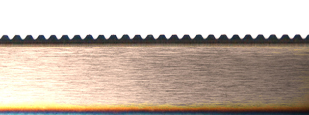GROTE Dentado